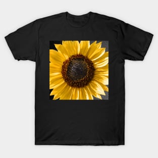 Sunflower Graphic Art Design Yellow & Brown Close-Up Flower face masks, Phone Cases, Apparel & Gifts T-Shirt